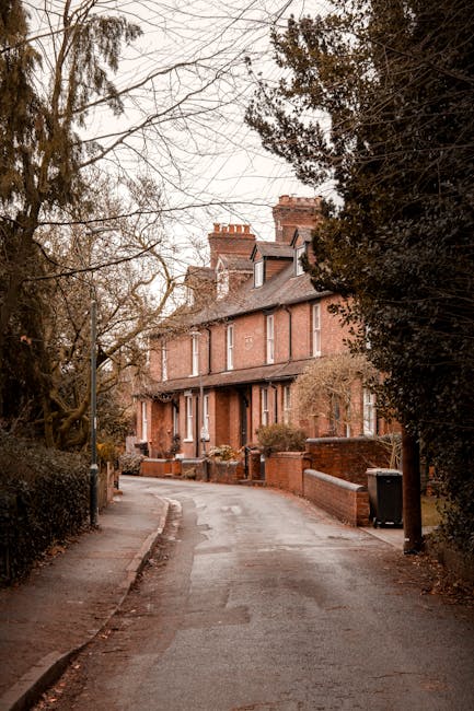 A narrow residential street with a paved road and sidewalk, lined on one side by brick terraced houses with chimney stacks, some with small front gardens enclosed by low brick walls. Tall leafless trees and dense dark evergreen bushes partially obscure the buildings. The street appears to be part of a quiet neighbourhood in Walthamstow, suitable for home relocations or furniture transportation. The scene is captured in daylight with overcast sky, reflecting a calm atmosphere. The image supports understanding of the environment where local removals and packing services may take place, as referenced in the Hoe Street moving guide for removals in Walthamstow, Upper Walthamstow.